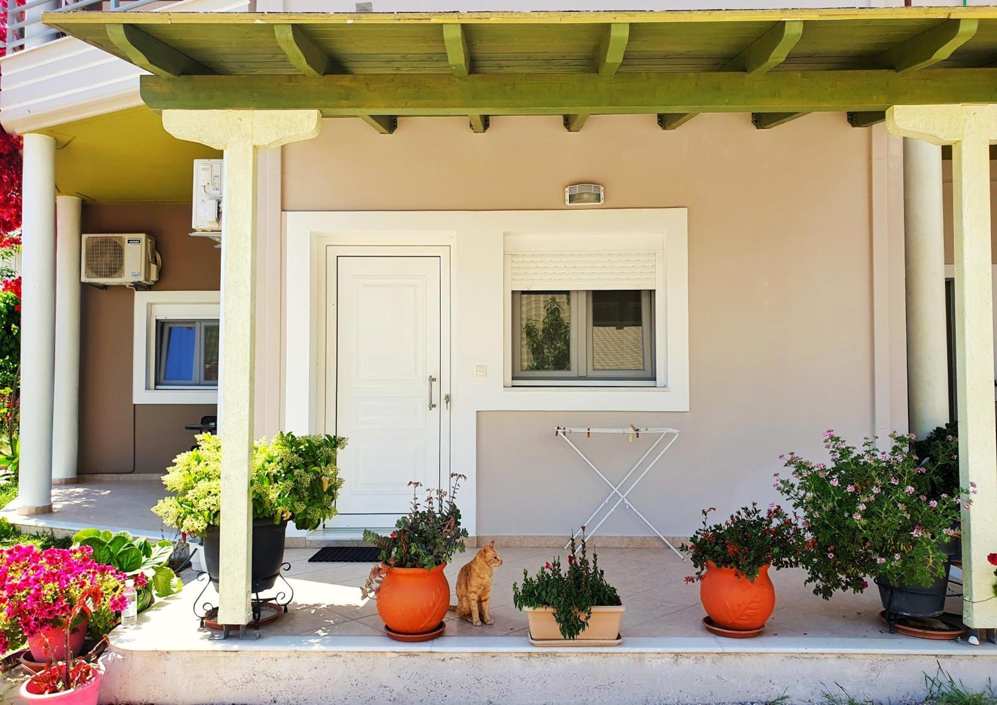 Green Studio Nidri מראה חיצוני תמונה